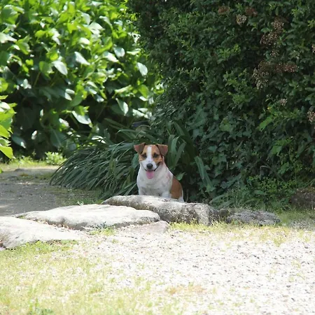 Casa De Sao Vicente De Cima Povoa de Lanhoso