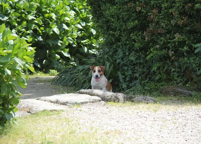 Casa De Sao Vicente De Cima Póvoa de Lanhoso