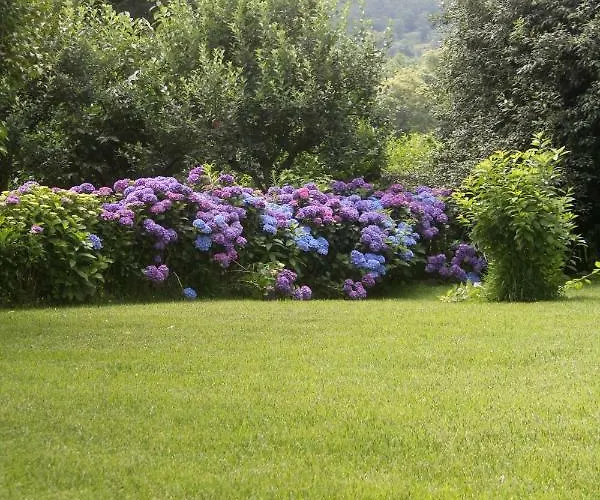 Casa De Sao Vicente De Cima *
